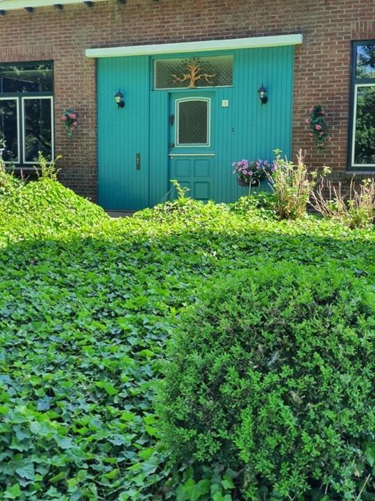 De Vliegende Vlinder Bed & Breakfast Nederweert Exterior foto