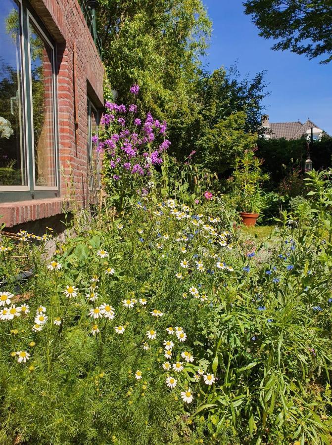 De Vliegende Vlinder Bed & Breakfast Nederweert Exterior foto